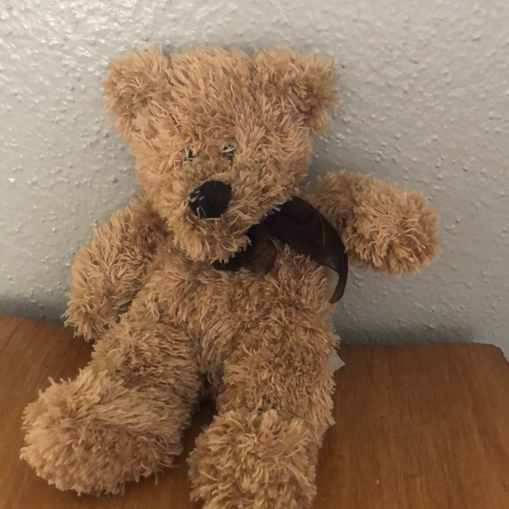 🌻Progressive Plushie Brown Bear